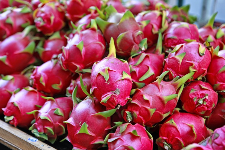 PSU produces food supplements from dragon fruit extract