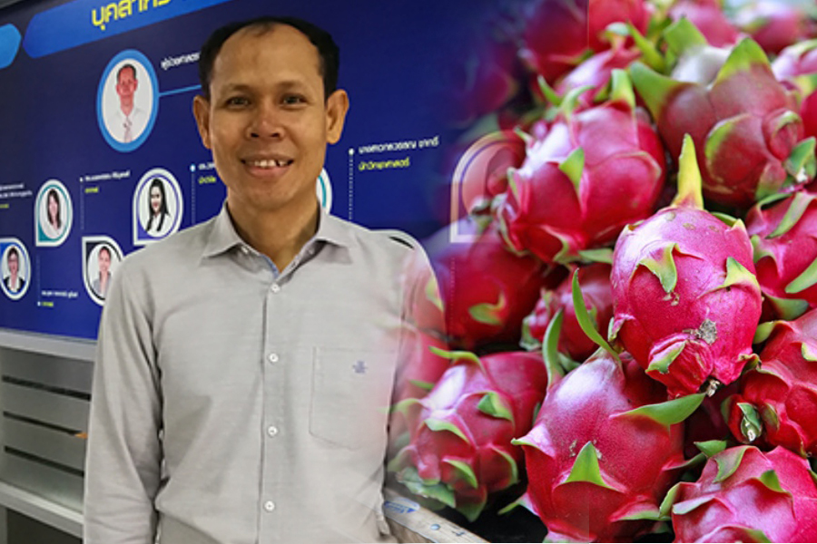 PSU produces food supplements from dragon fruit extract