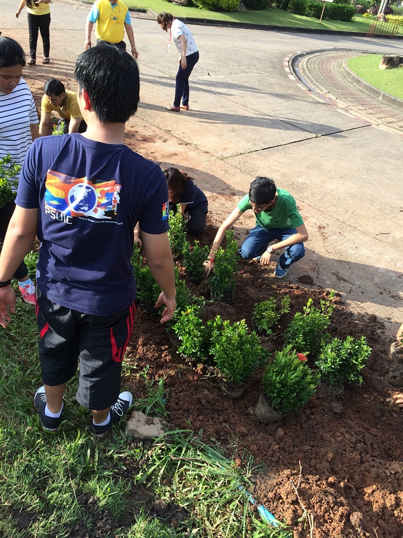 PSU International Students join Plant Trees Activity